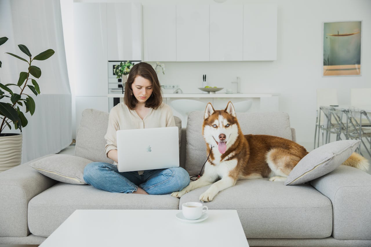 Young woman working on laptop at home with a Siberian husky on the couch in a modern living room.